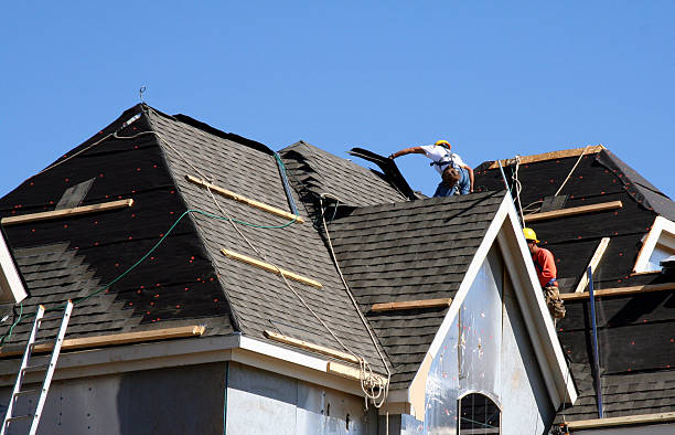 Best Roof Gutter Cleaning  in Adairsville, GA